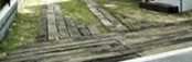 Parking Space Landscape Design
